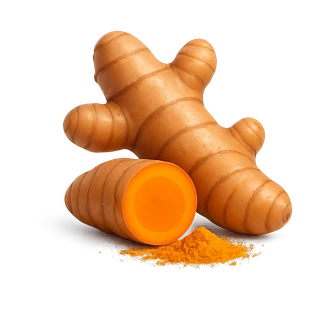 Icono de Cúrcuma (Curcuma longa)